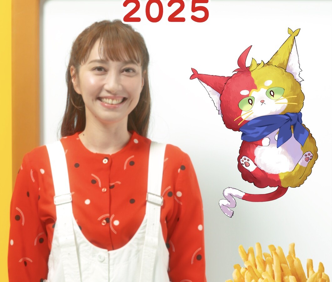 日本マクドナルド株式会社ポテナゲ・チキチキン